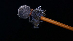 箭在玄上竟然各有不同，圆头箭有何历史，木质箭头丨这里是北京