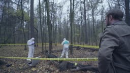 Evidence collection at forest crime scene, investigators working on...