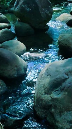 Unwind Instantly: Nature's Sleep Remedy (Stream Sounds)