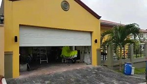 “Raynor” remote-controlled garage door | Doortech System