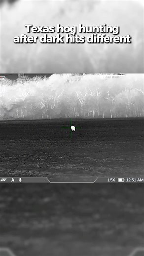 Texas Pig Hunting at Night | Thermal Hog Hunt Action