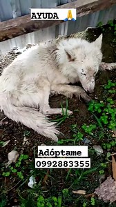 25 reactions · 104 shares | Caso Externo Nos piden publicar a este...