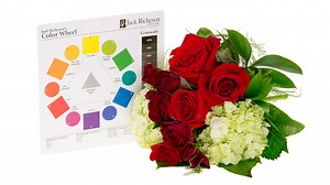 Complimentary Color Harmony