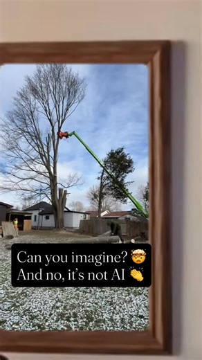 Taking them down safely without sending folks up! Merlo Roto Grapple Saw, the first choice for everyday tree removals, and of course, storm cleanup 🤙📲 | Merlo Greg