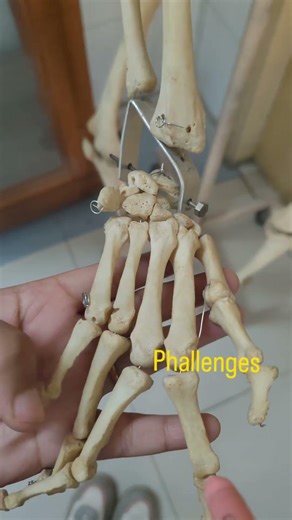 bones learning trick #shorts #lab