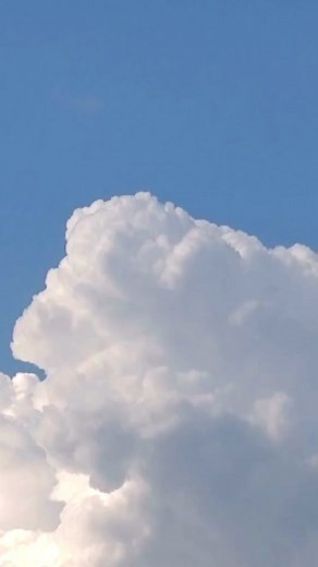 😀 mấy truyện này tui tâm đắc lắm luôn á #róm #nhavantapsu #tieuthuyet #xuyennhanh #nucuong #vocp #truyenchu