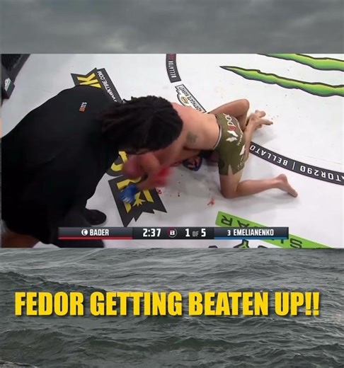 Fedor Emelianenko getting smashed!!