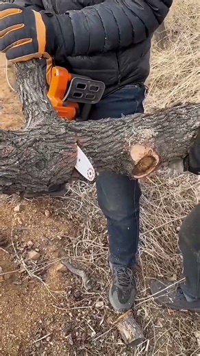 thick Tree Branch Cut in Seconds! 🌲⚡