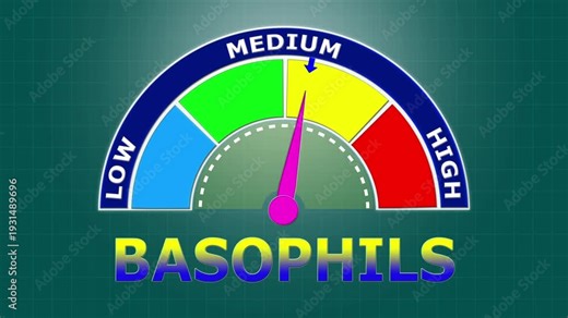 4K Animated Basophils Count Meter Increasing from Low to High Levels , Monitoring Allergic Reactions and Immune Response Triggers.