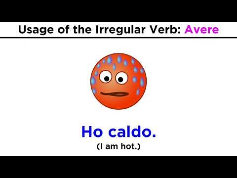 Conjugation and Usage of the Verb: Avere (To Have)