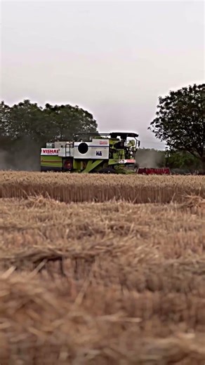 Vishal 435 Brisk Plus in Wheat Field | Vishal 435 Combine Harvester Working Video 2026
