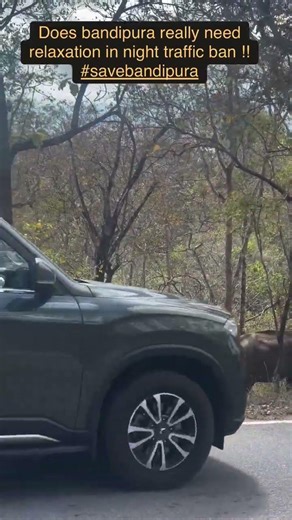 Save Bandipur Tiger Reserve 🐅 #savebandipur #wildlife #tigers