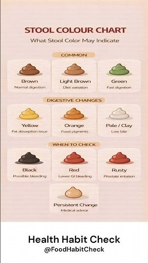 Stool Colour Chart⏱️ | Explained