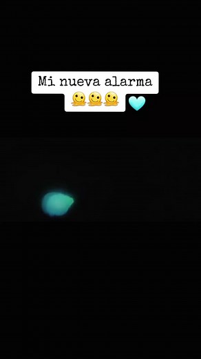 Alarmas Graciosas para Despertar con Motivación
