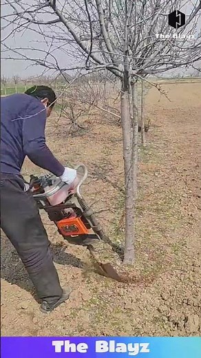 PERFECT Root Lift! Watch This Tree Digging Method DONE Right! 🌱 #gardening #satisfying
