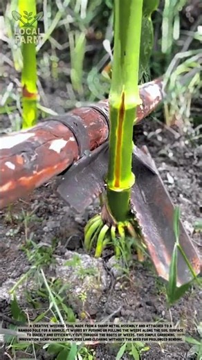 Simple & Effective: How to Build Your Own Long-Handle Weeder