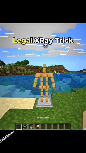 Minecraft legal X-ray trick 🌚 #minecraft #shorts #shortsfeed #@SaycoGaming-n7n