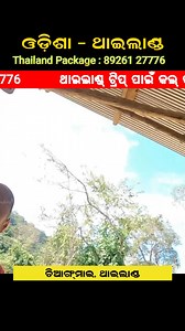 2.9K views · 58 reactions | Call/WhatsApp: +91 89261 27776 for Odisha to Thailand Trip Package For the best offers on Thailand holiday tour packages from India with us, Call/WhatsApp now. #ThailandTrip #VisitThailand #ThailandTravel #ThailandPackages #ThailandVacation #ThailandHolidays #OdishaToThailand #ThailandBudgetTrip | Suman Nayak Vlogs | Facebook
