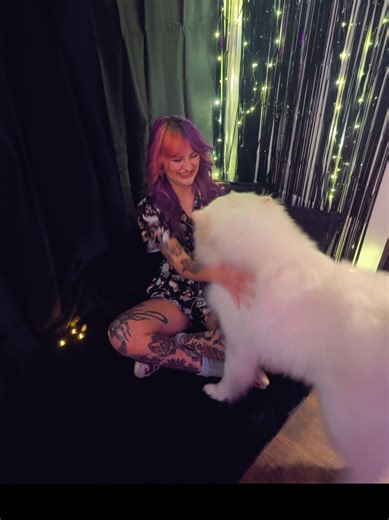 Celebrate New Year 2026 with a Samoyed Puppy