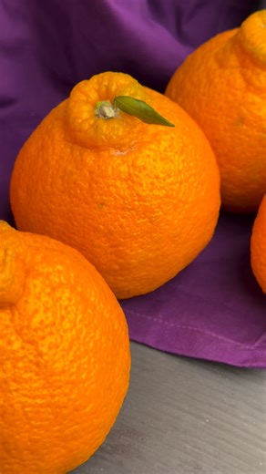 SPECIALTY PRODUCE on Instagram: "Sumo Citrus ® is aromatic, releasing a bright and lingering mandarin orange-like scent, and the fruits are known for having high sugar content, ranging from 13 to 18 degrees Brix. This high sugar is mixed with acidity, containing less than 1 percent citric acid, to create a rich, refreshing, fruity, and balanced sweet and tangy flavor. Enjoy it while it’s in season here at our warehouse and learn more on the Specialty Produce App! #sumocitrus #specialtyproduceapp