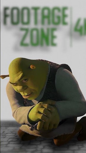 Shrek Rizz Meme | Green Screen - Footage 4K