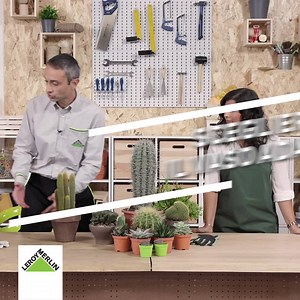 103K views · 1K reactions | Come curare le piante grasse? Se ti sei perso il corso di domenica, puoi recuperarlo su Youtube e scoprire i segreti dei nostri esperti. | Leroy Merlin Italia | Facebook