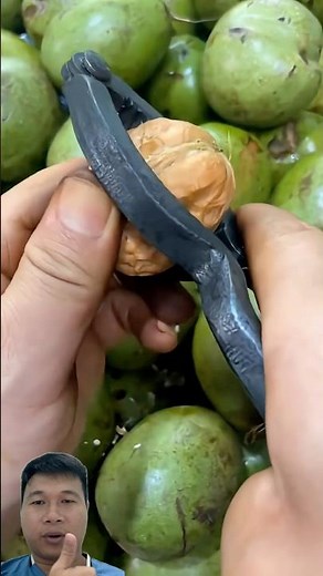 simple tool to shell walnuts very effectively. It's amazing. #useful #farming #tools4life #shorts