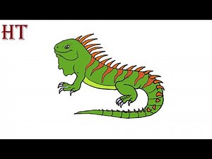 How to Draw an Iguana Easy Step by Step