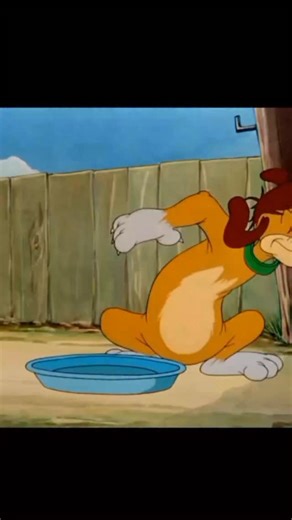 cartoon on Instagram: "This video is a short, humorous clip from the classic Tom and Jerry cartoon series. It features a sequence of classic "slapstick" comedy involving Tom the cat, a mischievous dog, and Spike the bulldog. Plot Summary The clip begins with a brown dog playing a prank on a dazed Tom. He treats Tom like a platter of food, garnishing him with carrots and stuffing a large red apple into his mouth. Just as the brown dog is celebrating his prank, Spike the bulldog enters the scene.