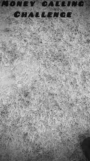 DoubleTheBagKash on Instagram: "Money calling Challenge #kglhiphopfestival2022 #viralreels #relatable #goviral @_og2toneofficial #foryoupag"