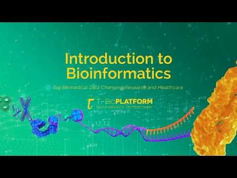 Introduction to Bioinformatics - an introductory course to the field of bioinformatics