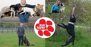 Festival Blesk tlapek: Zábava, soutěže i trocha poučení pro páníčky a jejich psí parťáky