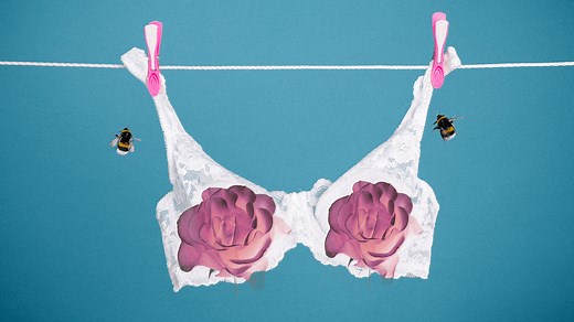 Can Bee Pollen Actually Make Your Boobs Bigger?