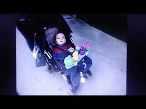 Elmo's World Transportation Footage