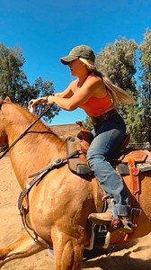 51K views · 164 reactions | @celsiusofficial Would you believe me if I told you I got it on the first try?  Saddle pouch and breastcollar @runningroan Saddle pad @teamequinesaddlepadco use code “BW30” for 30% off Saddle #robbiephillipssaddlery | 1D Performance Horses | Facebook