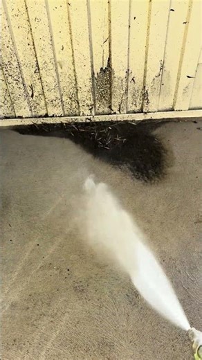 Pressure Washing Cleaning Dirty Floors Wash Downs #satisfying