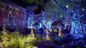 67K views · 1.1K reactions | We are counting down the days... because Holiday in the Park opens this weekend at select parks! ✨ | Six Flags | Facebook