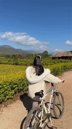 Homes of Pindaya: A Vlog Experience