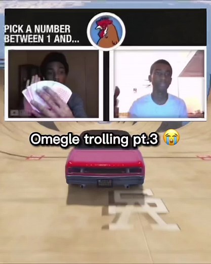 Hilarious Chicken Video Compilation