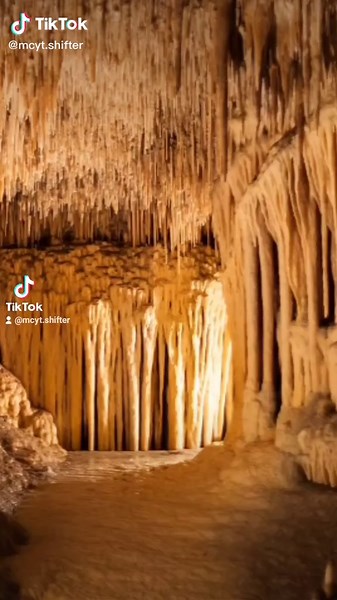 requested by @rowanker #greenscreen #mcyt #dreamsmp #dsmp #shiftingtodreamsmp #shiftok #visualiziationforshifting #shiftingrealities #dreamteam