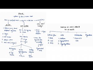 PALLOR | GENERAL EXAMINATION | MEDICINE PRACTICAL | VIVA | 4TH PROFF | MBBS