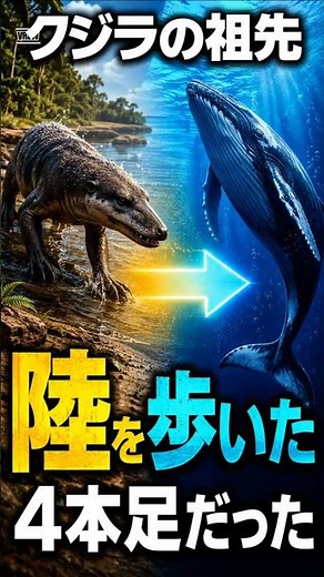 あのクジラ、昔は4本足で陸を歩いていました。