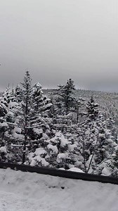 Kancamagus Highway, NH, 12 24 25 #thenaturenomad #winterwonderland #whitemountainsnh #winterscene #kancamagushighway #snowylandscape | The Nature Nomad