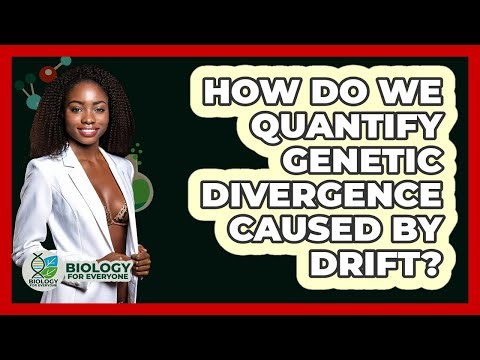 How Do We Quantify Genetic Divergence Caused By Drift? - Biology For Everyone