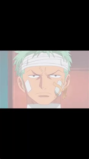 Zoro's Training Begins in One Piece Adventure