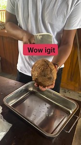 Maka igit | Den M Ark