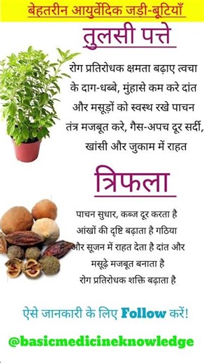 best ayurvedic jadi buti | बेहतरीन आयुर्वेदिक जड़ी-बूटियाँ | Top Ayurvedic Herbs