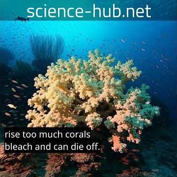 Climate Tipping Points: Challenges and Opportunities