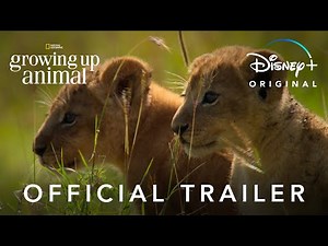 WATCH: New Disney Show' Growing Up Animal' Looks Like a Real-Life 'Lion King'