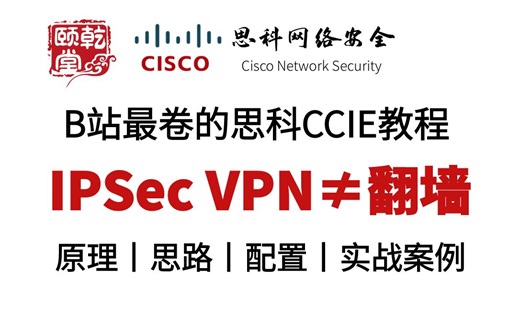【判刑率99.9%！】全面讲解VPN从工作原理到最新项目实战，从入门到入狱，CCIE Security大佬手把手教学！（正常教学，求审核大大手下留情）